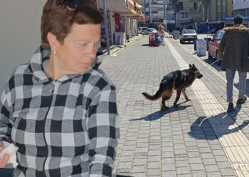 Alman kurduyla dalaşan köpek, kendisini tutan sahibinin parmağını parçaladı