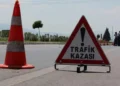 Şanlıurfa’da kurbanlık yüklü kamyonet devrildi: 1 ölü 1 yaralı