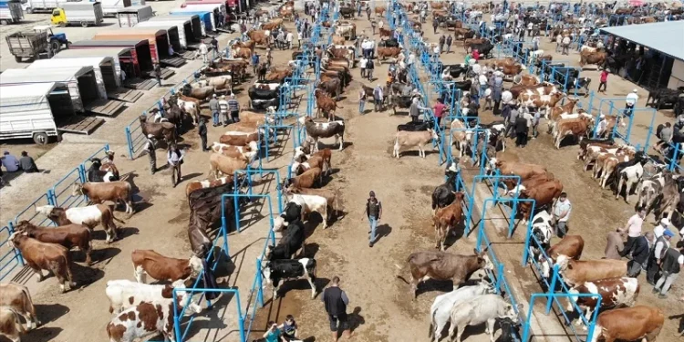 Trabzon’da acı olay: Kurban keserken kalp krizi geçiren kişi yaşamını yitirdi