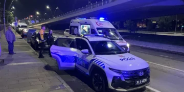 Kuzenlerin ot ilaçlama kavgası kanlı bitti