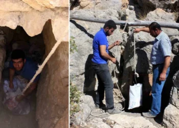 Erzincan’da asırlık gelenek: Peynirler yüzyıllardır doğal buz mağaralarına emanet