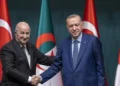 Başkan Erdoğan, Cezayir Cumhurbaşkanı ile görüştü