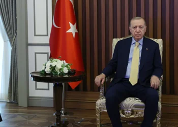 Başkan Erdoğan milli basketbolcu Alperen Şengün’ü kabul etti