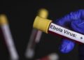 Avrupa’nın göbeğinde ‘Ebola’ alarmı! Hastaneler ve doktorlar harekete geçirildi