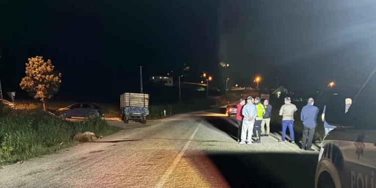 Tokat’ta otomobil sürüye çarptı: Beş koyun telef oldu