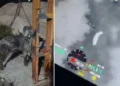 Osmaniye’de kayıp kurbanlık için dron destekli arama