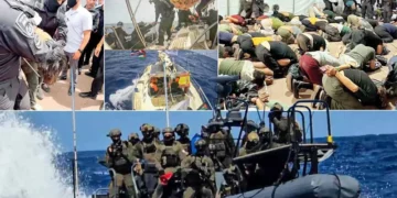 Sumud aktivistleri Türkiye’ye geliyor: THY 3 uçak gönderdi