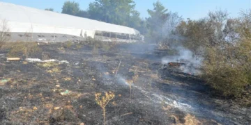 Antalya’da otluk alanda çıkan yangın ormana sıçradı