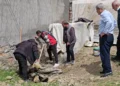 3 metrelik yılan mahalleyi korkuttu: Belediye ekipleri müdahale etti