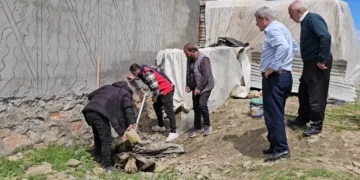 3 metrelik yılan mahalleyi korkuttu: Belediye ekipleri müdahale etti