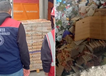 Sakarya’da dev sahte yumurta operasyonu: ‘Organik’ diyerek piyasaya süreceklerdi