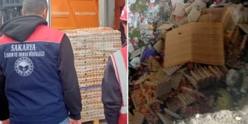 Sakarya’da dev sahte yumurta operasyonu: ‘Organik’ diyerek piyasaya süreceklerdi