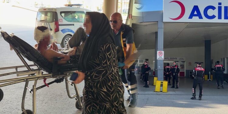 Arazi kavgası kanlı bitti: 7 yaralı