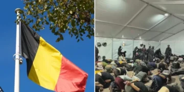 Belçika İsrail’den Sumud aktivistlerine şiddet için izahat istedi
