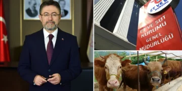 Üreticilerin elinde kalan kurbanlıkları Et ve Süt Kurumu satın alacak
