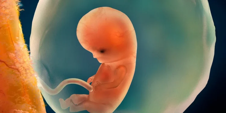 Çin Yapay İnsanları Uzaya Gönderdi: Uzayda Bebek Sahibi Olmak Mümkün mü?