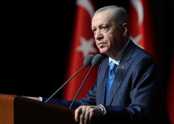 Cumhurbaşkanı Erdoğan, Cezayir Cumhurbaşkanı Abdülmecid Tebbun ile telefonda görüştü