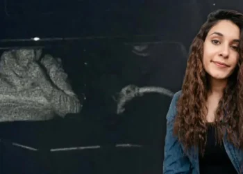 Gülistan Doku soruşturmasının kritik ismi konuştu. “Cesedi iki yere gömmüş olabilirler”