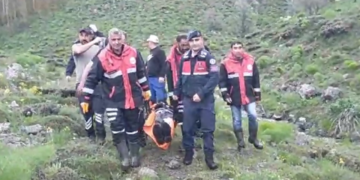 Mantar toplarken ayı saldırdı, ölümden döndü