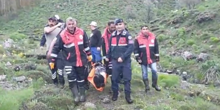 Mantar toplarken ayı saldırdı, ölümden döndü