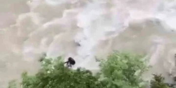 Artvin’de feci kaza: Baba ve oğulun bulunduğu araç Çoruh Nehri’ne uçtu