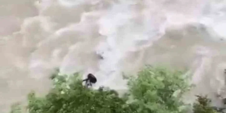 Artvin’de feci kaza: Baba ve oğulun bulunduğu araç Çoruh Nehri’ne uçtu