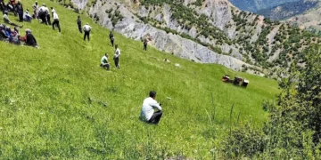 Çorum’da traktör devrildi: Sürücü hayatını kaybetti