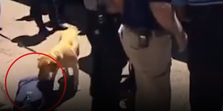 Dünya Kupası öncesi tarihi skandal! Milli takımı ‘narkotik köpekleri’ ile aradılar