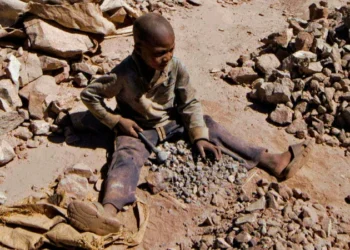 BM 138 milyon çocuk işçi olduğunu bildirdi: Dünya hedefine ulaşmaktan uzak