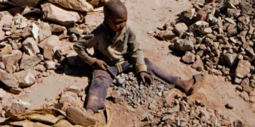 BM 138 milyon çocuk işçi olduğunu bildirdi: Dünya hedefine ulaşmaktan uzak