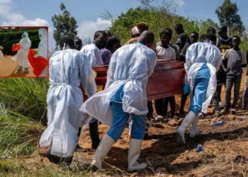 ABD’den Ebola uyarısı: Tarihin en ölümcül seviyesine ulaşabilir