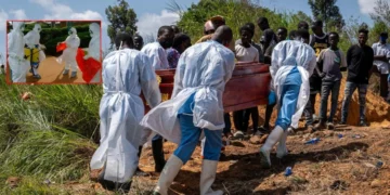 ABD’den Ebola uyarısı: Tarihin en ölümcül seviyesine ulaşabilir
