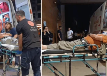 Erik toplarken ağaçtan düşüp yaralandı
