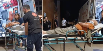 Erik toplarken ağaçtan düşüp yaralandı