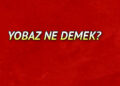 Yobaz ne demek? Yobaz nedir? Yobaz TDK kelime Anlamı
