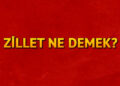 Zillet ne demek? Zillet nedir? Zillet TDK kelime anlamı