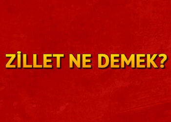 Zillet ne demek? Zillet nedir? Zillet TDK kelime anlamı