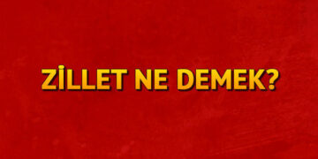 Zillet ne demek? Zillet nedir? Zillet TDK kelime anlamı