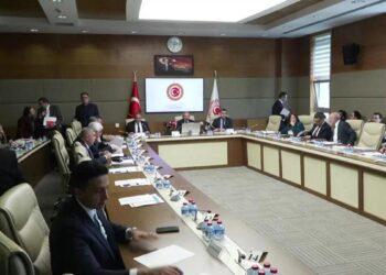 TBMM’DE AKADEMİSYENLER DİNLENDİ | Siber zorbalığın çocuklara etkisi ne?