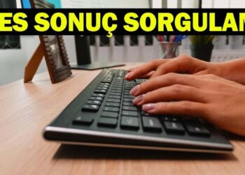 ALES AÇIKLANDI MI? ALES/1 Sonuçları ÖSYM AİS Sorgulama Ekranı