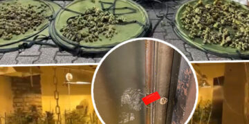 Yoğun koku yayılınca ortaya çıktı! İzole edilmiş odada ‘pes’ dedirten düzenek: Piyasa değeri 30 milyon lira
