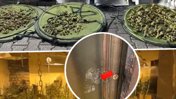 Yoğun koku yayılınca ortaya çıktı! İzole edilmiş odada ‘pes’ dedirten düzenek: Piyasa değeri 30 milyon lira