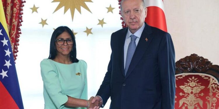 Cumhurbaşkanı Erdoğan, Venezuela Cumhurbaşkanı Vekili ile görüştü