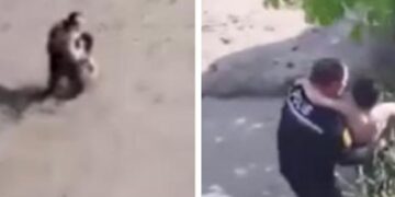 Torununu kurtarmak isteyen dedenin acı sonu! Akıntıya kapılarak can verdi