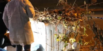Manisa’da 16 yıllık sır çözüldü! Çöplükte bulunan bebeğin katili annesi çıktı