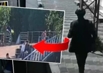 İstanbul’da ormanlık alanda bulunan cesedin sırrı ortaya çıktı: Ölüme böyle yürümüş