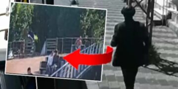 İstanbul’da ormanlık alanda bulunan cesedin sırrı ortaya çıktı: Ölüme böyle yürümüş