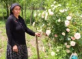 Muhtarın vefatının ardından görevi eşi devraldı; kadınların desteğiyle seçimi kazandı