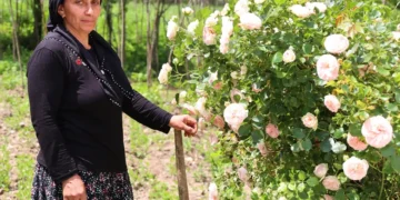 Muhtarın vefatının ardından görevi eşi devraldı; kadınların desteğiyle seçimi kazandı