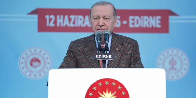 Cumhurbaşkanı Erdoğan: Siz milletvekili misiniz, yoksa militan mı?